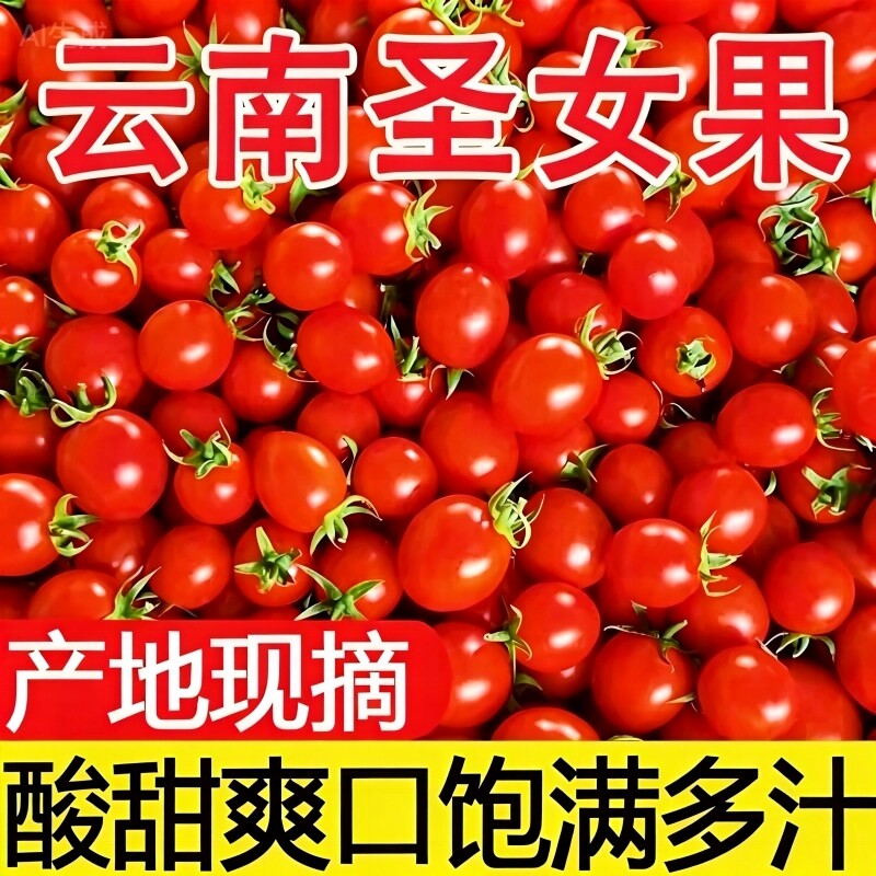 云南小西红柿圣女果千禧小番茄5斤装酸甜爽口产地直发新鲜水果图片