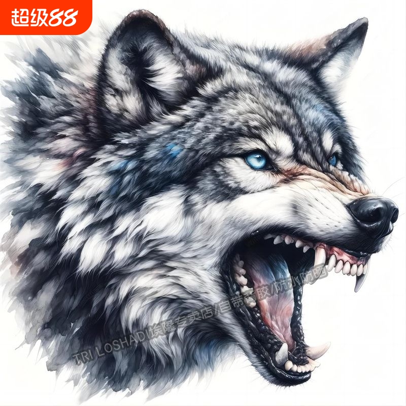 hitoratpvc车身贴显眼美化装饰