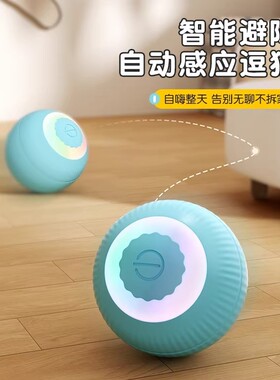 猫玩具猫咪自动逗猫球小猫自嗨解