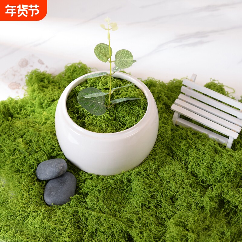 仿真绿植造景假苔藓青苔植物装饰摆放室内玄关阳台微景观草布置
