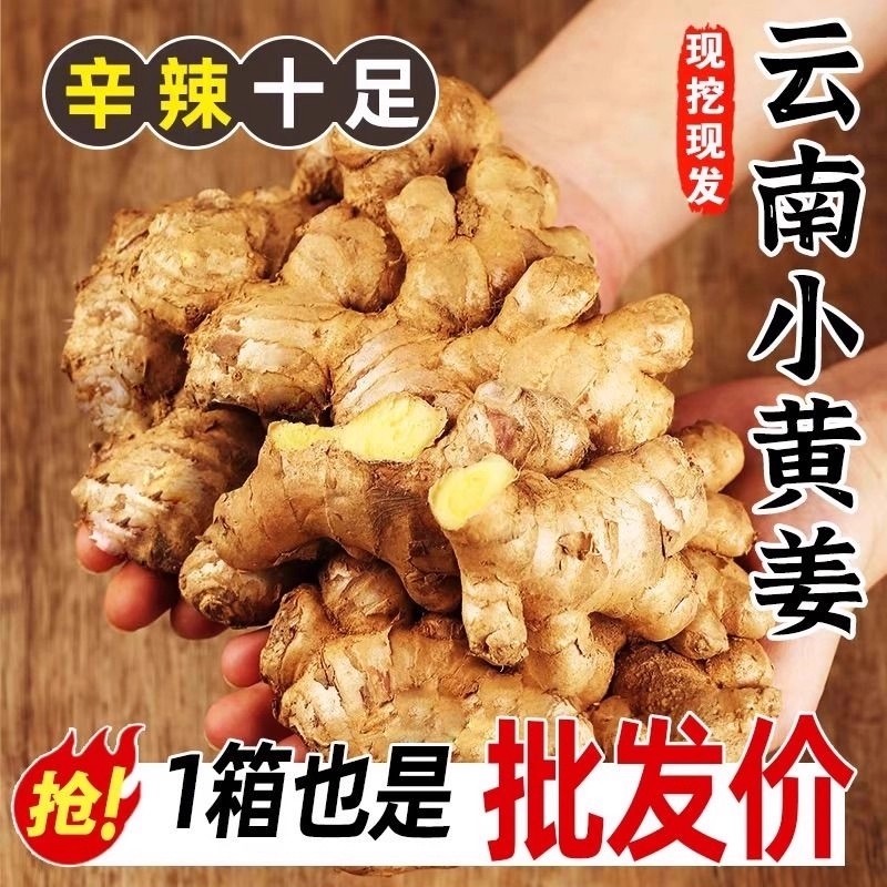 云南正宗小黄姜2025老姜新鲜生姜高山沙姜老姜土姜蔬菜农家自种