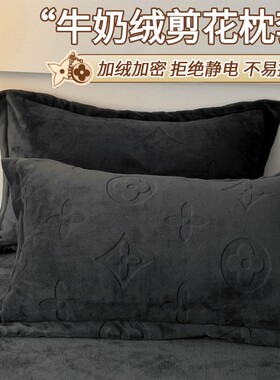 冬季牛奶绒珊瑚绒雕花枕套一对装48x74加厚 pillows套单个枕芯罩