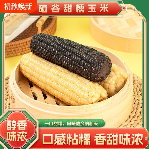 黑玉米东北现摘新鲜糯黄玉米真空装包装袋早餐代餐甜糯