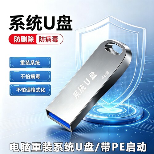 防删除系统u盘win10专业版win11