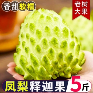 当季现摘新鲜凤梨牛奶番荔枝应季水果释迦果佛头果整箱礼盒装大果