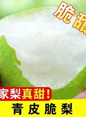 当季鲜果青皮密梨酥脆一号皇冠梨10斤梨子新鲜水果翠冠梨香酥脆梨