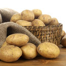 现挖新鲜迷你黄皮黄心土豆高山洋芋马铃薯3 9斤批发