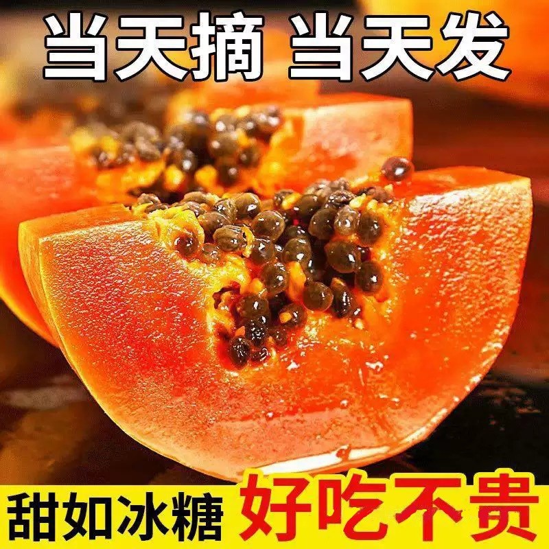 广西红心牛奶木瓜新鲜9斤应当季孕妇水果番青皮下奶树上熟冰糖心