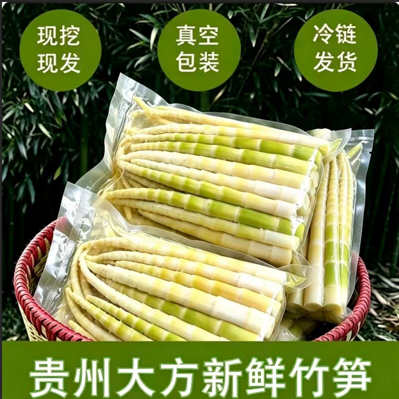 贵州大方农家高山竹笋新鲜嫩笋尖不带壳现挖方竹笋八月笋真空发货