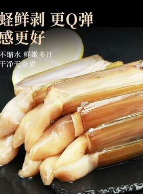 竹节蛏子鲜活海鲜水产大贝类海捕大海蚬双头蛏冷冻捞汁