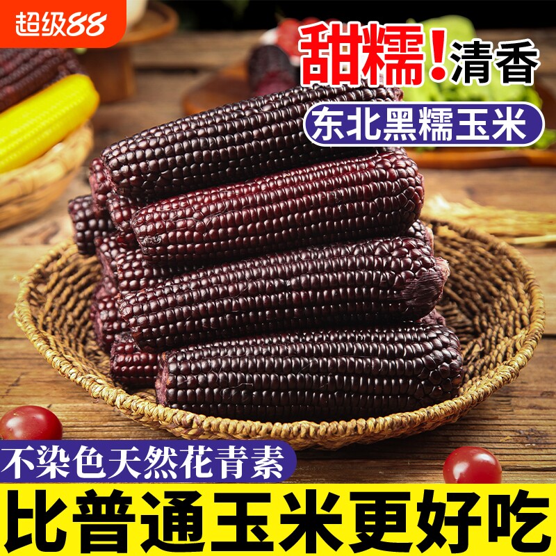 东北优选黑糯玉米黑玉米香甜软新鲜糯玉米棒甜糯玉米棒真空糯香