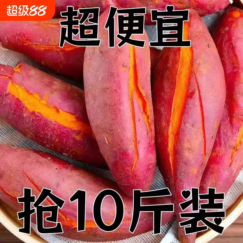 正宗沙土番薯地瓜红薯地板栗薯黄皮黄心健康粗粮沙地农家批发热卖