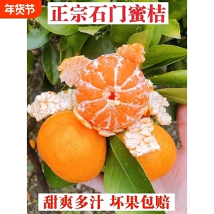 2025应季水果橘子超甜10斤蜜橘新鲜蜜桔桔子现摘石门柑橘年货节
