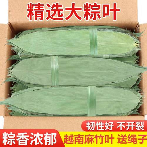 粽子叶粽叶干大号棕叶新鲜包粽子