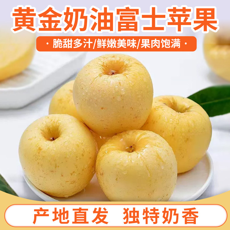 黄金奶油富士苹果新鲜水果山东烟台脆甜当季采摘箱装多规格,水产肉类/新鲜蔬果/熟食,苹果,淘宝优惠券,粉丝福利购,淘宝优惠卷
