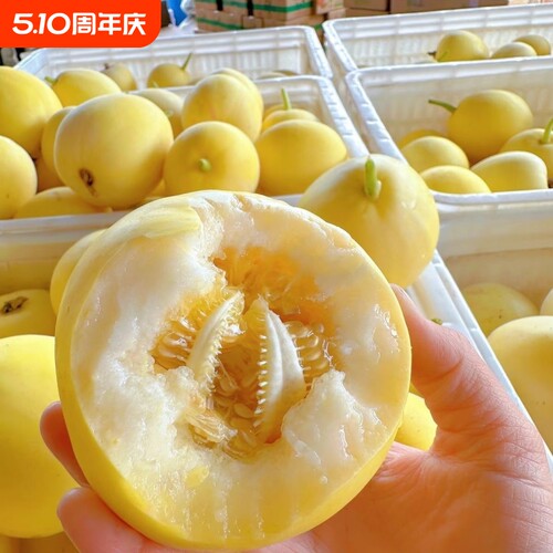 甜瓜香瓜蜜瓜当季整箱新鲜水果超甜正宗山东现摘小蜜蜂冰淇淋甜瓜
