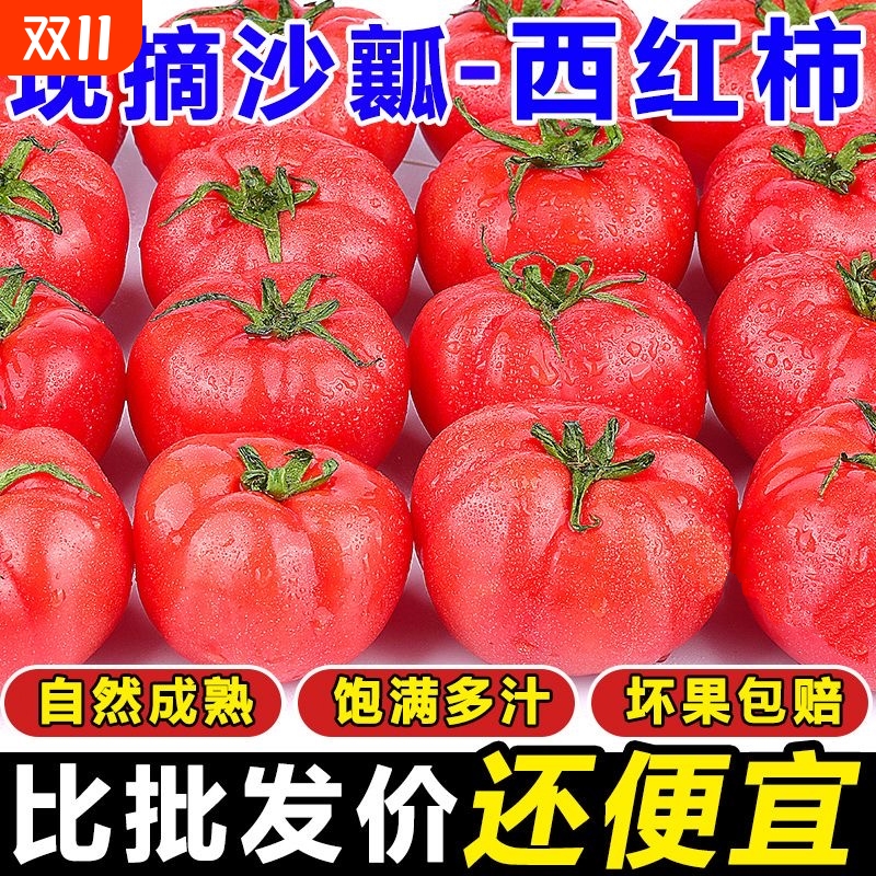 老果农自种阳光水果西红柿