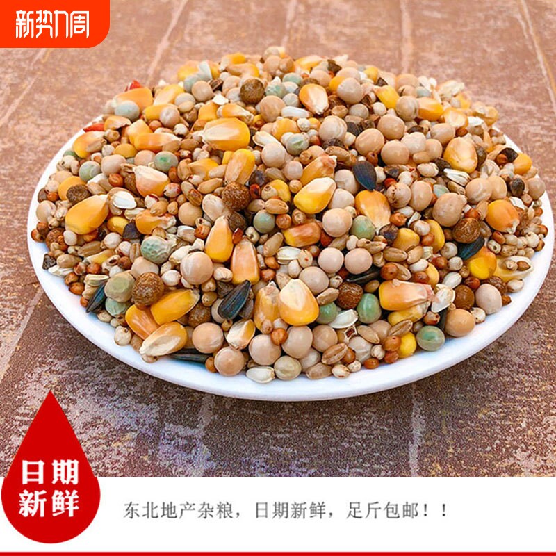 包邮5斤装鸽子粮有玉米幼鸽饲料 鸟食信鸽观赏鸽肉鸽粮赛鸽粮幼鸽