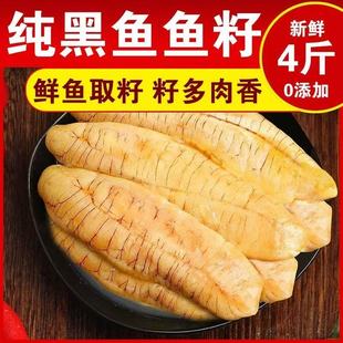 黑鱼籽冷冻鱼卵鱼蛋鱼泡鱼油乌鳢籽乌鱼籽蛇头鱼籽财鱼籽商用批发