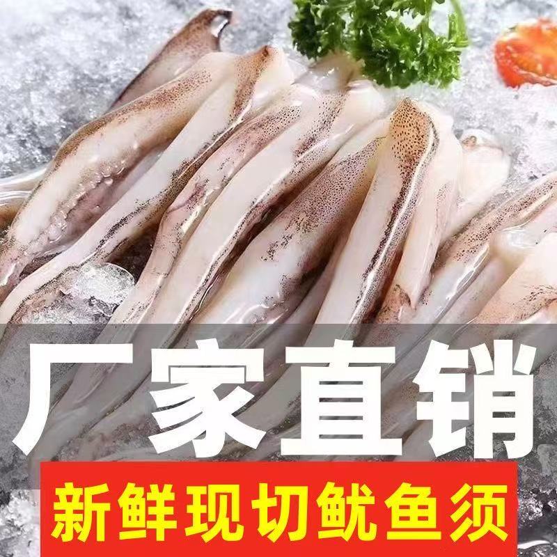 新鲜鱿鱼须海鲜冷冻章鱼生鲜尤鱼铁板鱿鱼串腿商用批发水产鲜活