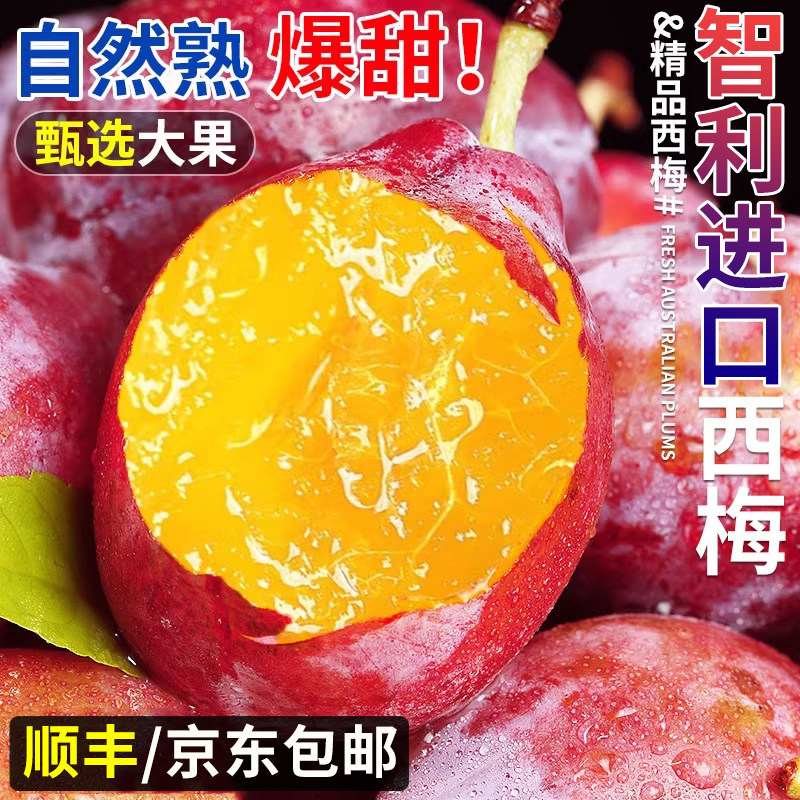 进口智利甜西梅5斤装大果当季新鲜水果法兰西脆甜李整箱顺丰包邮