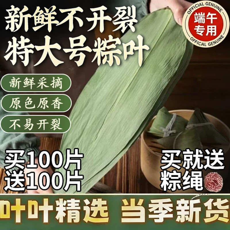 干粽叶粽子叶新鲜麻竹箬叶商用包粽子材料批发大号粽纯干粽叶叶子图片