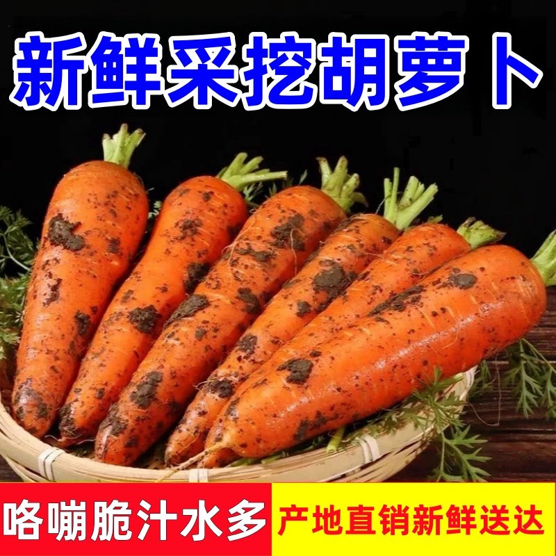 沙地新鲜蔬菜水果农家自种现挖带泥胡萝卜新鲜红萝卜脆甜营养健康,水产肉类/新鲜蔬果/熟食,萝卜/胡萝卜,淘宝优惠券,粉丝福利购,淘宝优惠卷