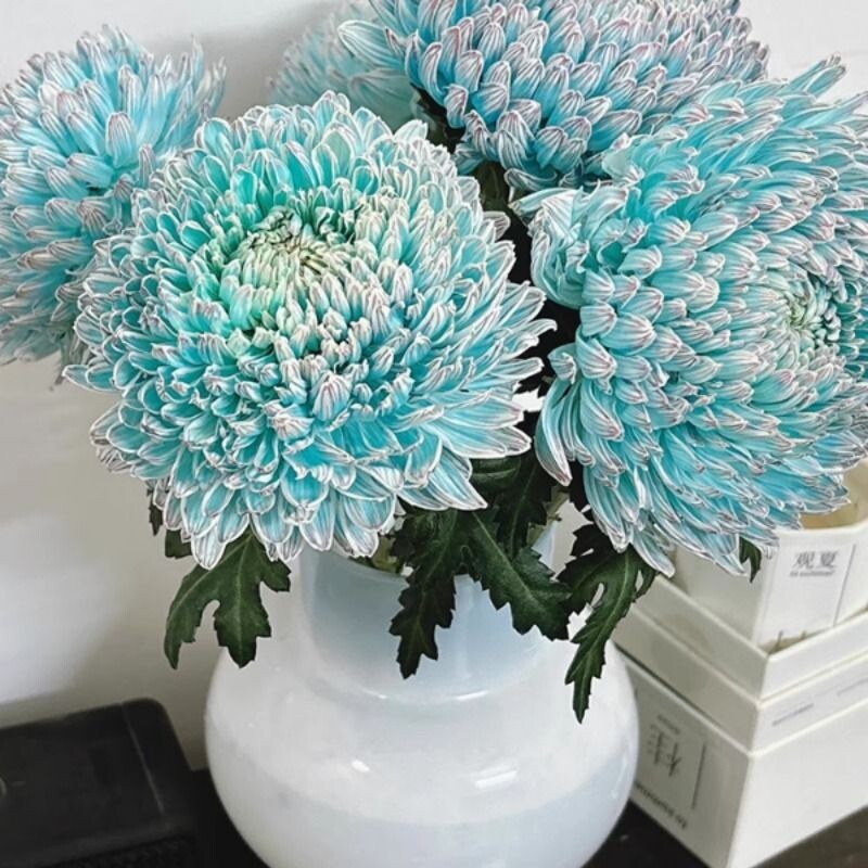 樱花粉牡丹菊鲜花云南昆明基地直发家用水养插花速递同城鲜切花