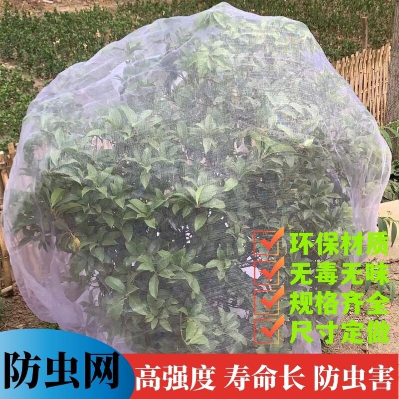 透明白纱网套罩防鸟防虫网罩果树蔬园艺防冰雹病虫害蚊虫果蝇针蜂