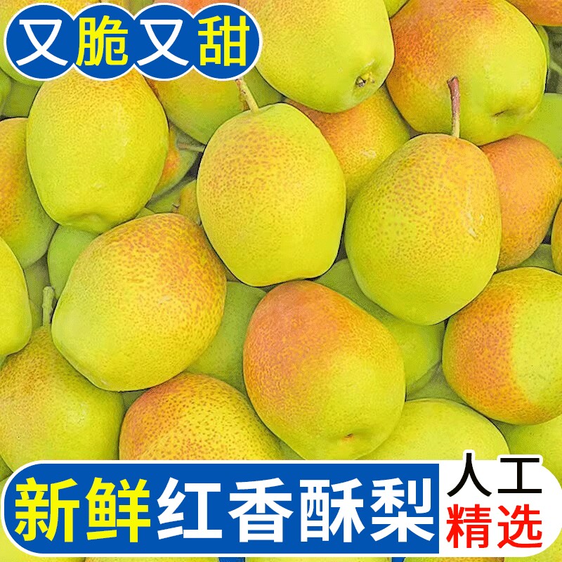 山西红香酥梨新鲜水果梨子当应季时令整箱皇脆甜雪梨翠冠特级大梨