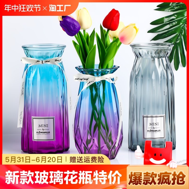 玻璃花瓶摆件透明水培植物干花客厅装饰插花瓶仿真桌面器皿极简