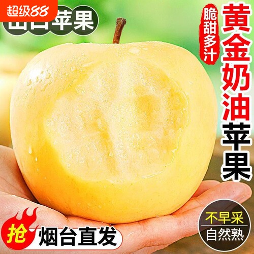 山东特级烟台黄金奶油苹果