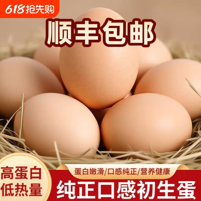 顺丰包邮正宗农家散养土鸡蛋新鲜农村谷物鸡蛋柴鸡蛋草鸡蛋鲜鸡蛋