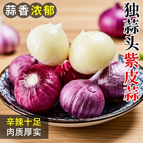 新鲜独头蒜紫皮蒜2026湿蒜大蒜头特大干蒜5斤蒜农家蔬菜批发新蒜