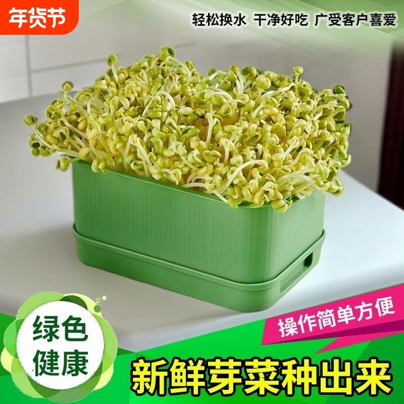 育苗盘种植发芽盆大容量家用豆芽机发豆芽专用盆神器生黄绿豆芽罐