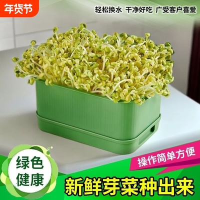 育苗盘种植发芽盆大容量家用豆芽机发豆芽专用盆神器生黄绿豆芽罐