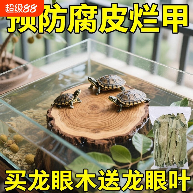 乌龟缸装饰圆形龙眼木休息台龟缸爬台爬架龙眼木头木墩天然家用图片