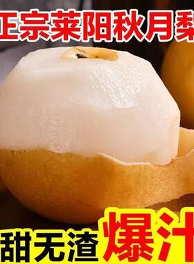 乔姑娘莱阳秋月梨纯甜无酸