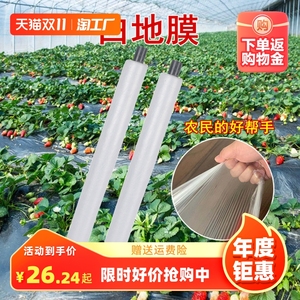 农用白色地膜保温保湿蔬菜大棚种植防草耐拉扯塑料小拱棚薄膜防渗