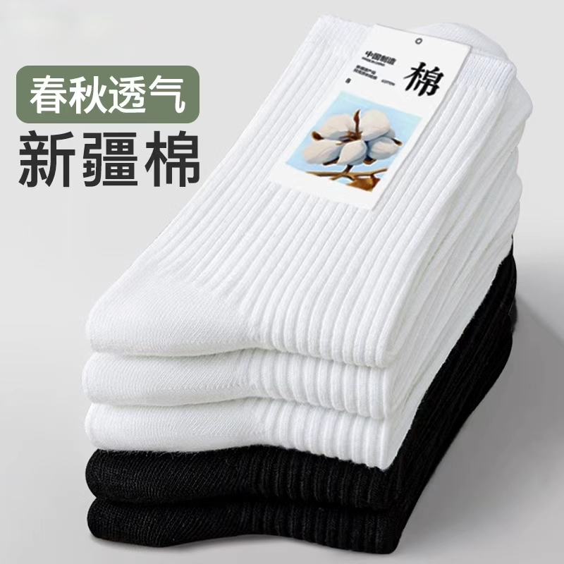 商场同款春秋季新疆棉女士中筒袜