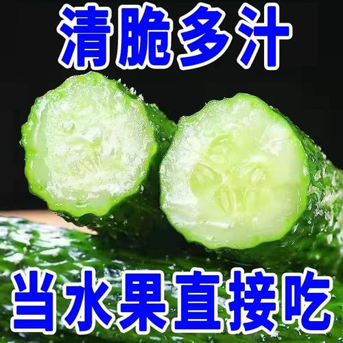新鲜京选优质黄瓜现摘水果刺黄瓜