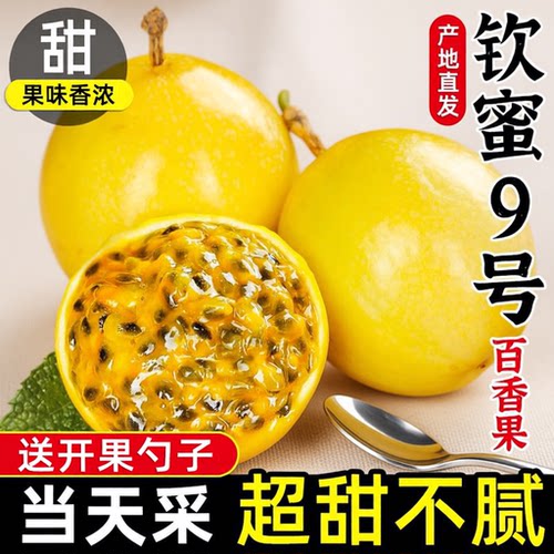 正宗广西钦蜜百香果9号黄金百香果新鲜1/3/5斤大果包邮钦密黄金果