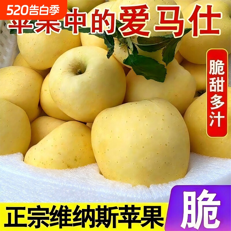 山东维纳斯黄金苹果新鲜水果当季新鲜水果包邮甜脆奶油苹果脆甜