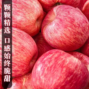 正宗陕西延安洛川苹果红富士孕妇新鲜当季 水果时令脆甜陕西一级果