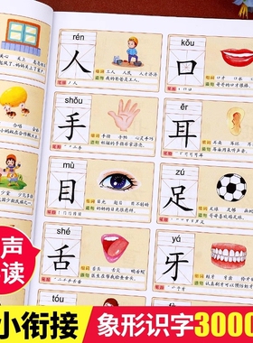 有声伴读幼小衔接识字大王3000字儿童认字书籍趣味看图识字启蒙幼儿园学前班常用字宝宝益智早教启蒙汉字拼音造句组词
