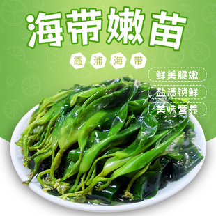 海带苗霞浦特产级盐渍海带苗芽新鲜嫩苗商用火锅专用海带苗旗舰店