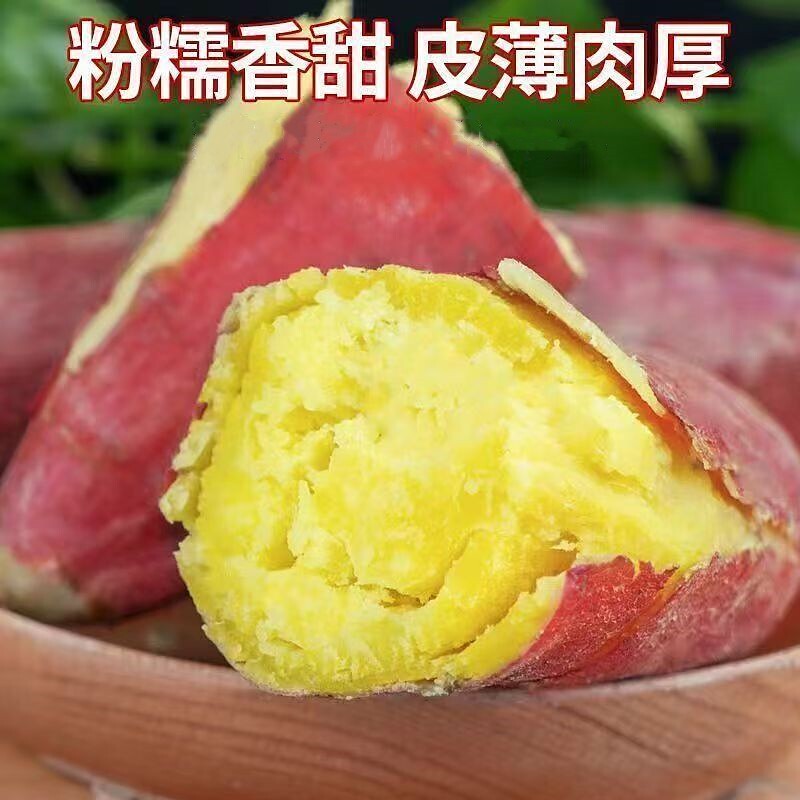 板栗红薯济薯26黄心红薯新鲜粗粮粉糯干面香甜皮薄番薯地瓜