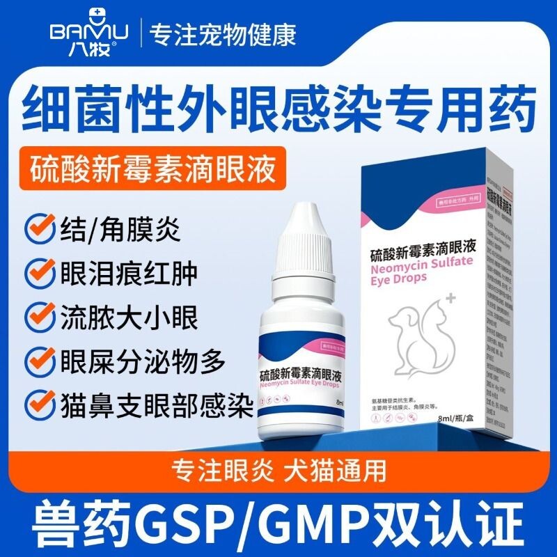 小猫咪滴眼液狗狗眼睛发炎流脓图片