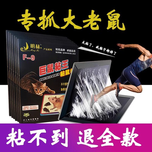 20张老鼠粘强力粘鼠板抓大老鼠贴夹扑捉灭鼠胶沾正品捕鼠神器超强