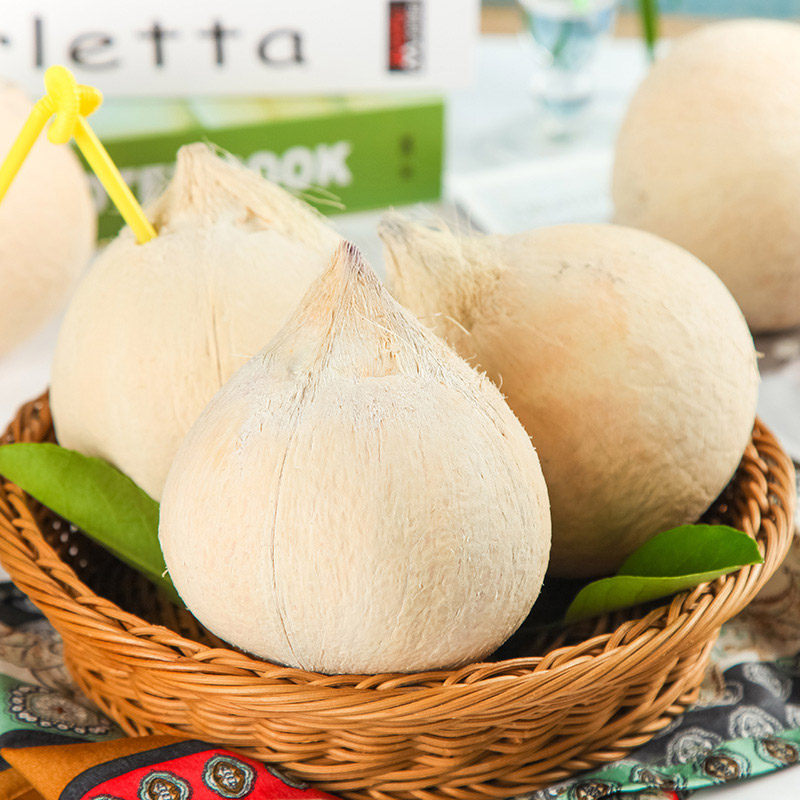 顺丰泰国哪像椰皇新鲜奶香椰子当季整箱椰王热带进口丹嫩沙多包邮